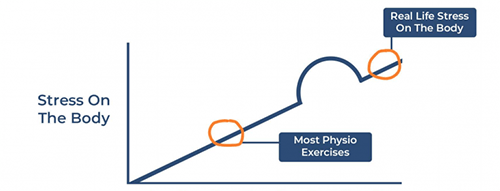 Most Physio Exercises