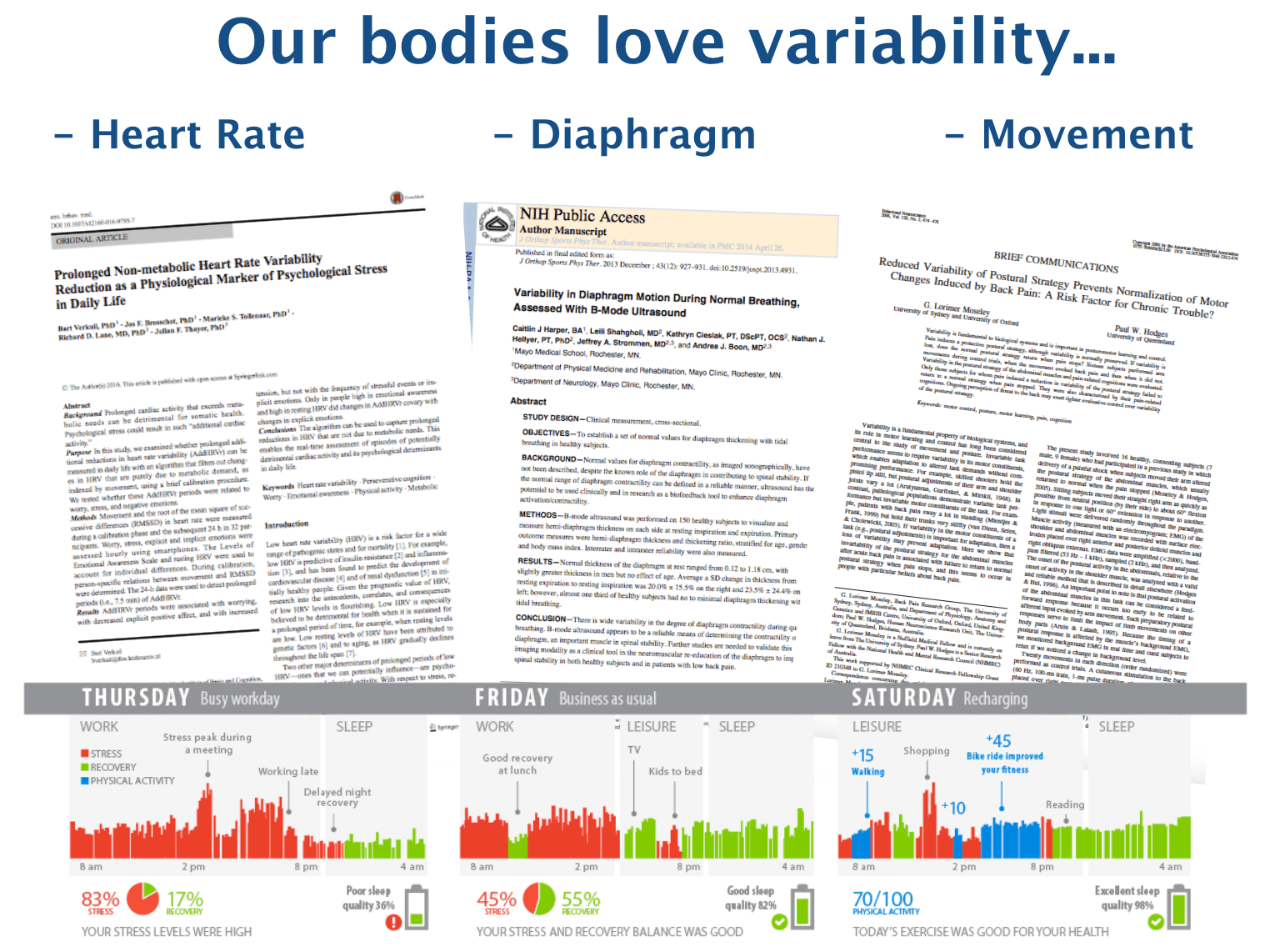 Importance Of Looking At The Whole Body In Your Physiotherapy Assessment